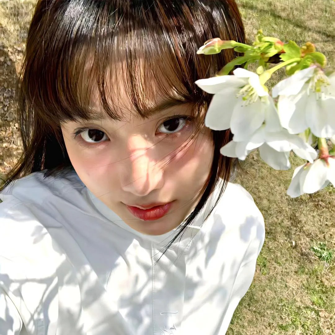 金刀秘卫之婳美人